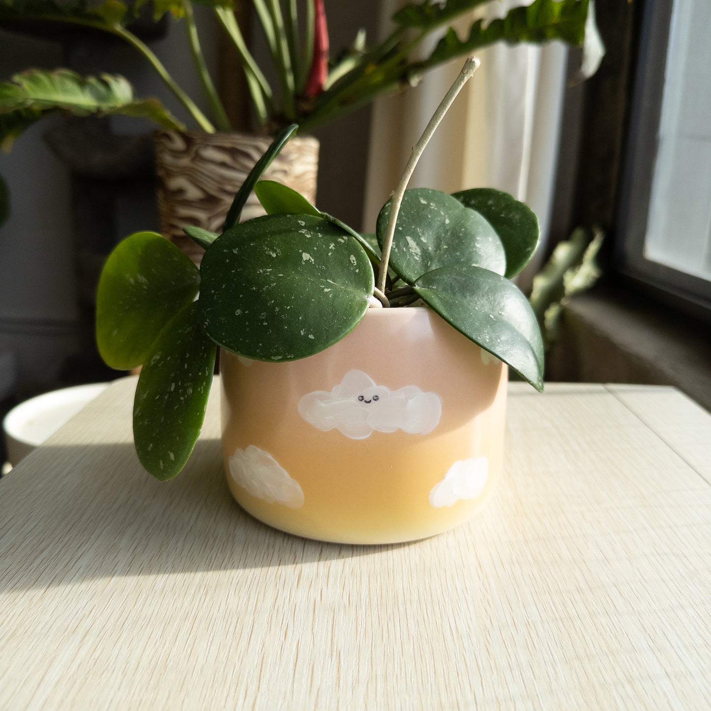 Cloud Planter (discontinued)